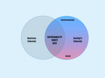 Sustainability and community free essay